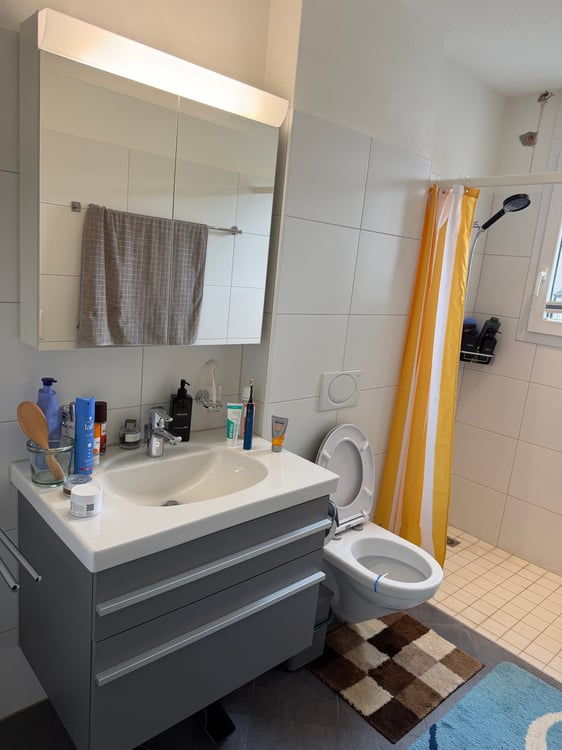 Moderne 4.5-Zimmer - Dachwohnung an ruhiger Lage in Wetzikon 11