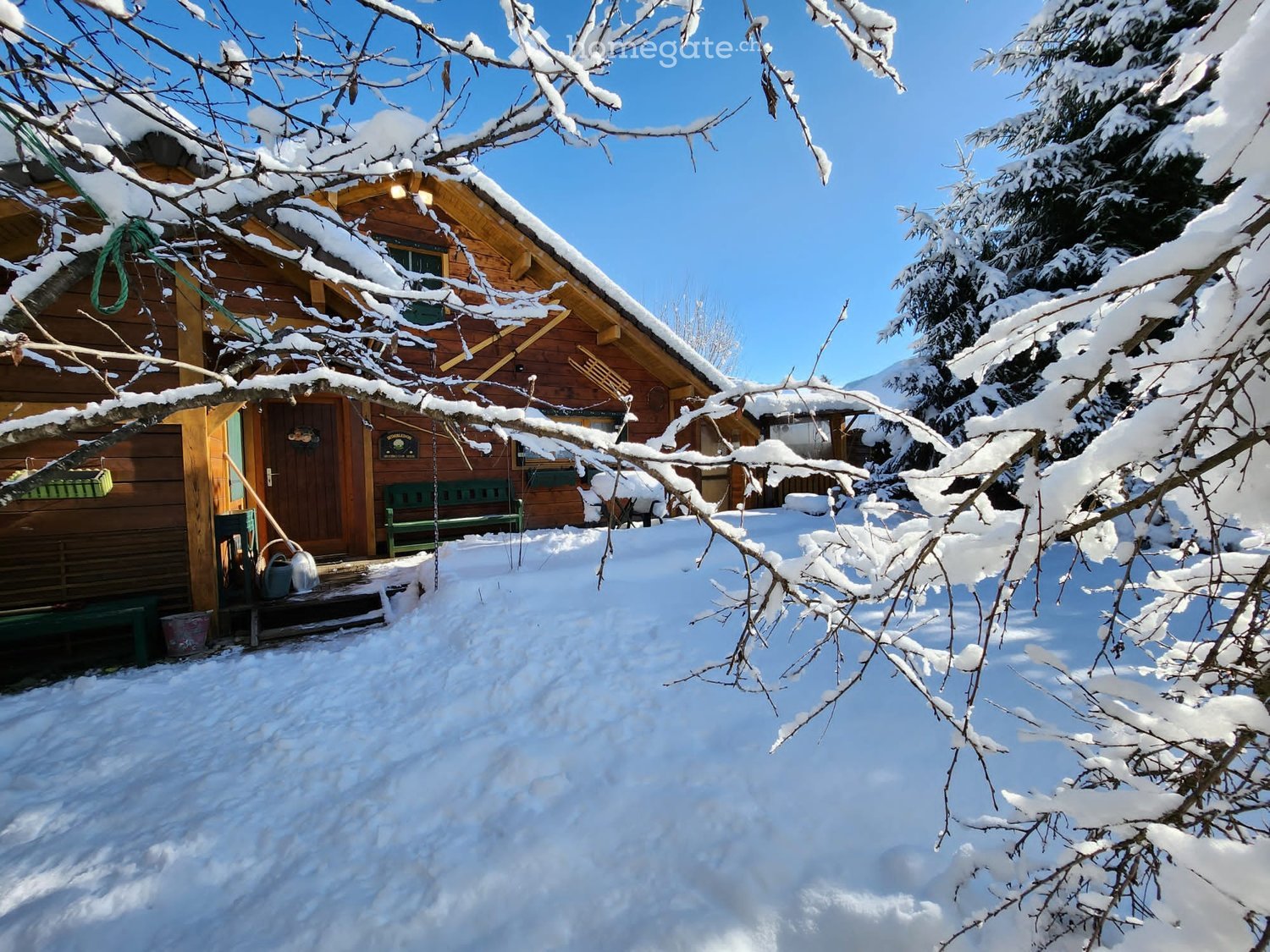 A wooden cabin surrounded by snow-covered trees and a snowy yard, with a green bench and a small porch area.