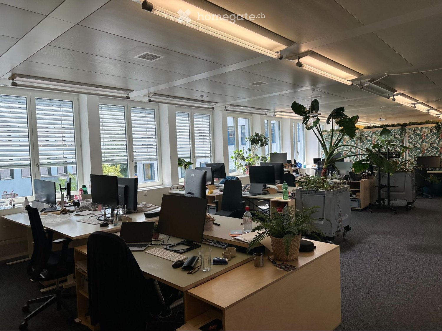 Bright office space with multiple desks, chairs, laptops, monitors, keyboards, and plants. Large windows with blinds provide natural light.
