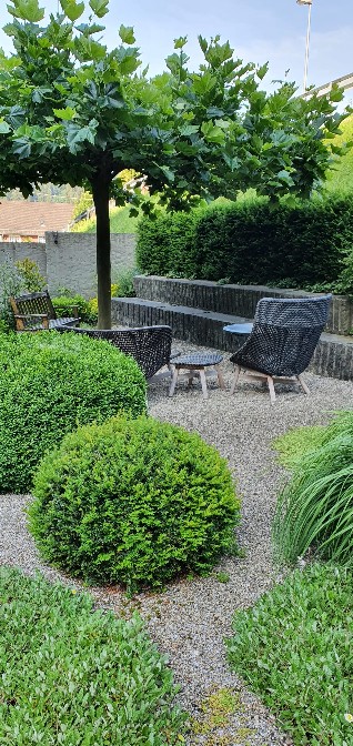 Charmantes 6-Zimmer-Einfamilienhaus in Ulisbach – Wohnen mit Stil und Komfort 4