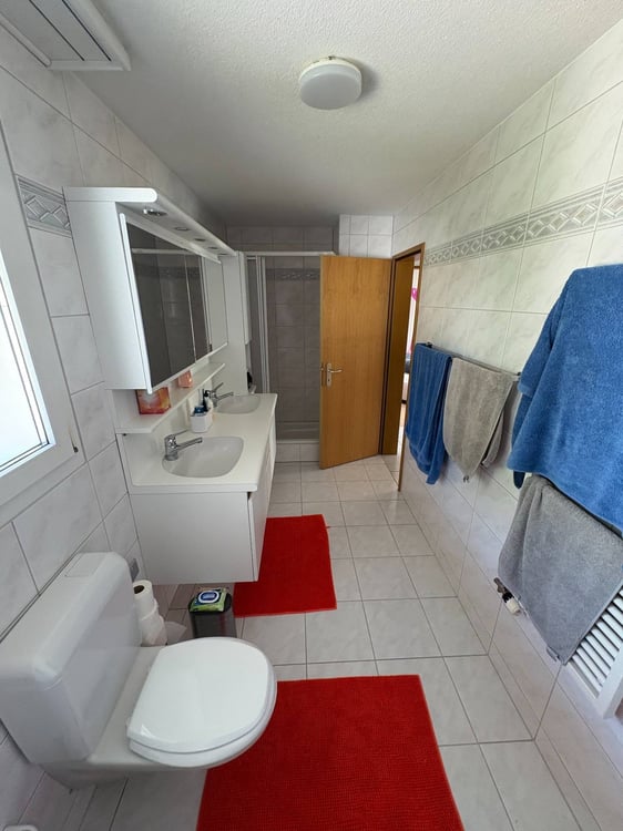 Modernes 5.5-Zimmer-Doppeleinfamilienhaus an Premiumlage in Morschach 9