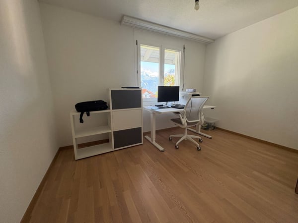 Modernes 5.5-Zimmer-Doppeleinfamilienhaus an Premiumlage in Morschach 10