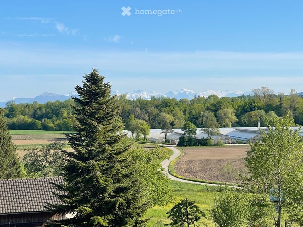 Erstbezug: Neue 2.5, 3.5, 4.5, 5,5-Zi-Wohnungen mit Terrasse/Balkon mit freier Aussicht in Eggenwil 4