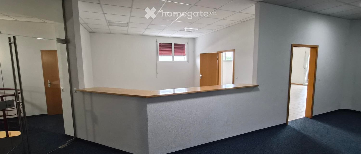 Empty office space with a reception desk, white walls, carpeted floor, and multiple doors leading to other rooms.