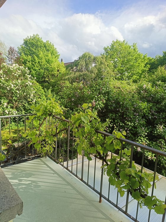 Charmantes 7-Zimmer-Reihenhaus im EFH Quartier Elfenau Bern – Schildknechtstrasse 4 4