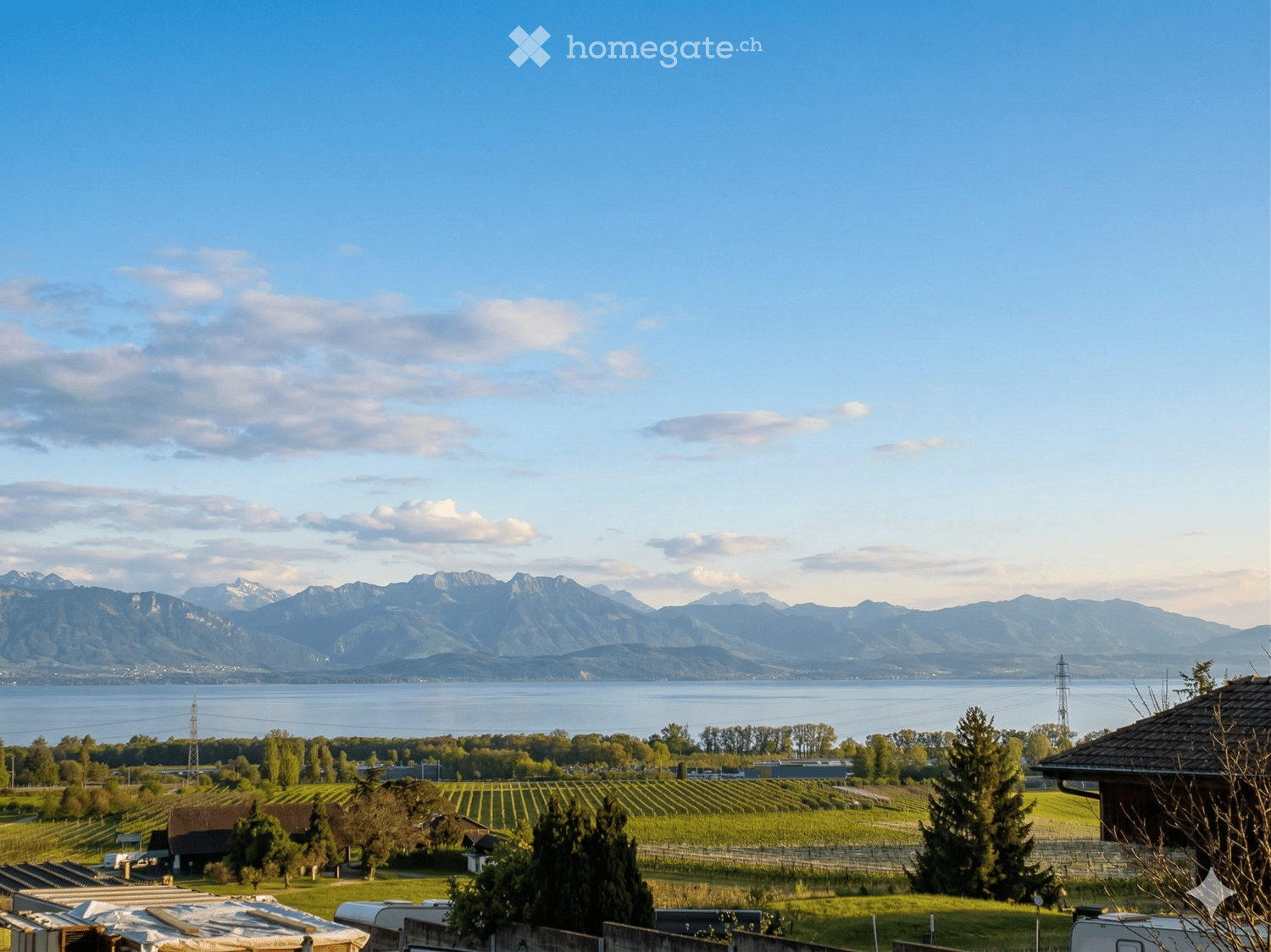A scenic outdoor view featuring mountains, a large body of water, a vineyard, houses, and trees.