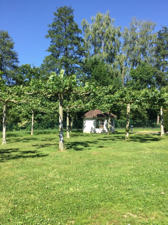 Einzigartig - Komfort - Charme - Ihr Wohntraum an bester Lage in Pfaffnau (LU) 26