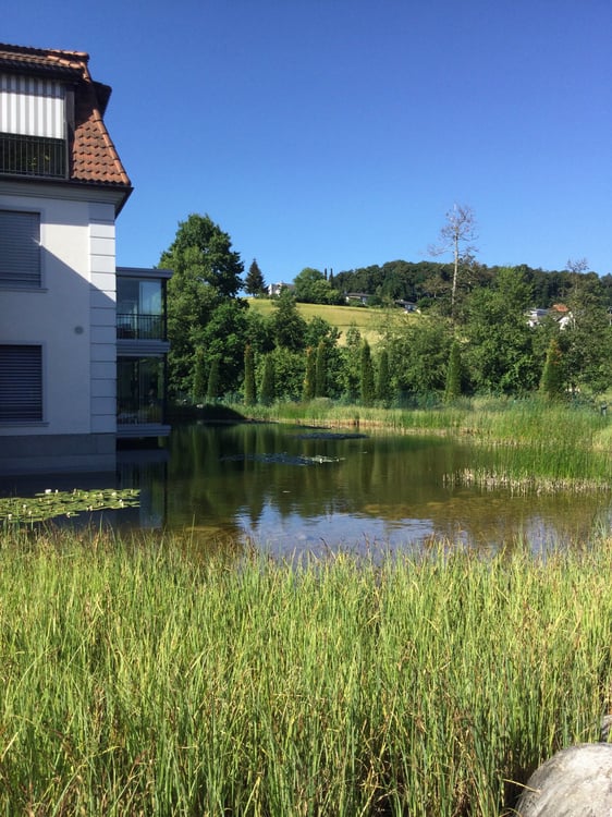 Einzigartig - Komfort - Charme - Ihr Wohntraum an bester Lage in Pfaffnau (LU) 28