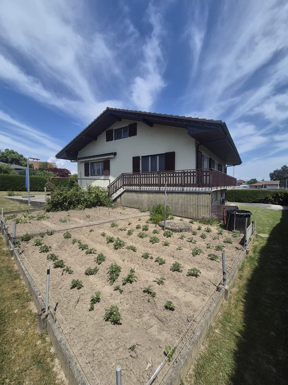 Maison individuelle à Siviriez 4