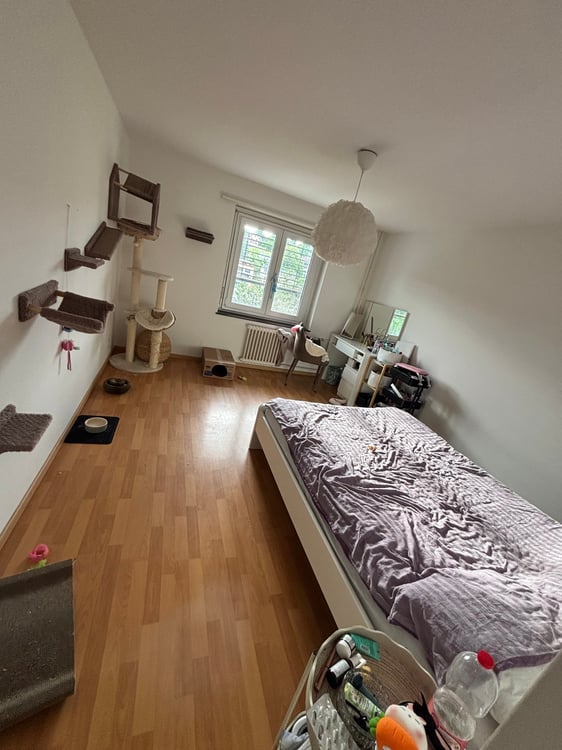 Charmante 3 Zimmer Wohnung 5