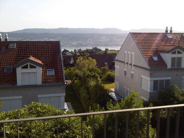 5.5-Zimmer-Doppeleinfamilienhaus in Herrliberg an sonniger und ruhiger Lage 18