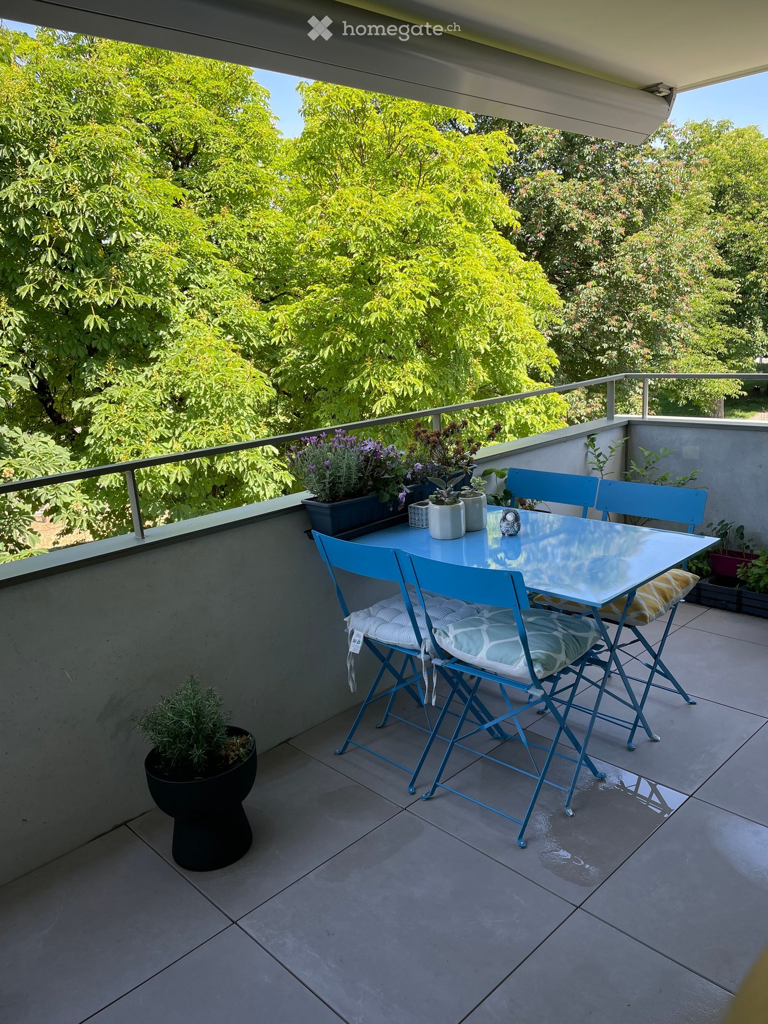 Balcony with a glass table, four blue chairs, and several potted plants.