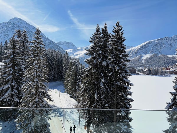 Exklusive 4-Zimmer-Neubau-Erstwohnung mit See- und Bergblick in Arosa 3