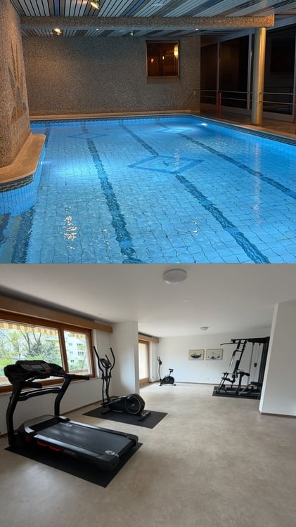 Appartamento 2.5 locali con piscina coperta a Minusio 2
