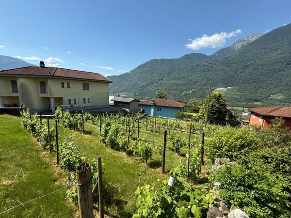 Bauland in Claro (TI) – 4'200 m² in attraktiver Wohnzone R2 2