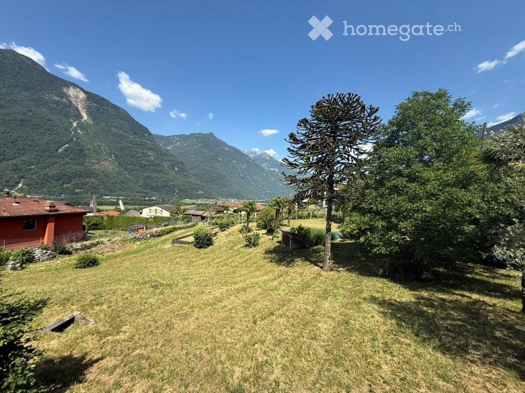 A grassy outdoor area with trees, a small shed, and distant mountains under a clear blue sky.