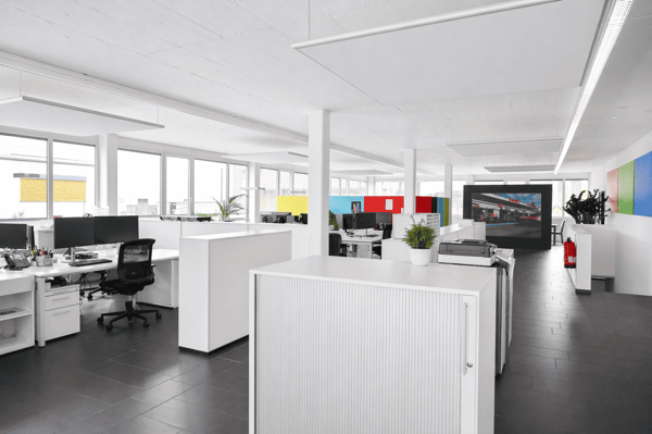 Moderne Gewerbefläche – 775 m² in Birr (AG) 9
