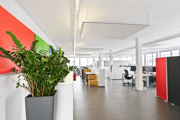 Moderne Gewerbefläche – 775 m² in Birr (AG) 6