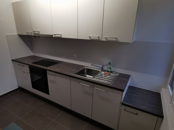 Somptueux studio disponible à côté du Flon (Lausanne) 5
