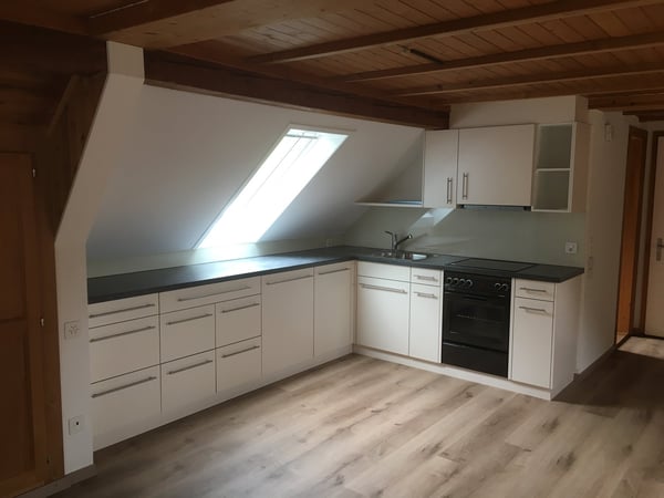 1.5-Zimmer-Dachwohnung im Naherholungsgebiet 3