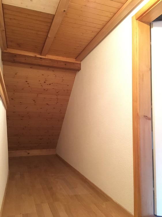 1.5-Zimmer-Dachwohnung im Naherholungsgebiet 4