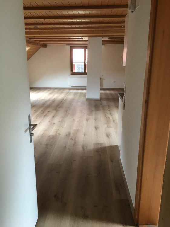 1.5-Zimmer-Dachwohnung im Naherholungsgebiet 7