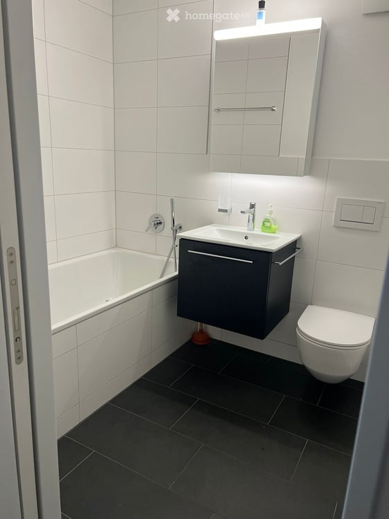 Grosszügige 5.5 Zimmer Attikawohnung mit 94 m2 Terrasse 6