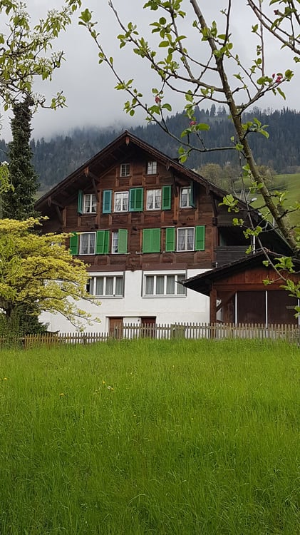 Charmantes 7.5-Zimmer-Einfamilienhaus in Erlenbach im Simmental – Traditionelles Schweizer Holzhaus 1