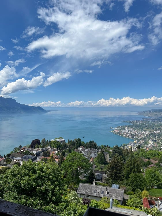 Magnifique 6.5 pièces avec vue panoramique sur le Léman 8