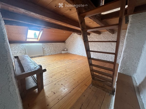 Grand appartement de 5 pièces rénové à Dardagny 8