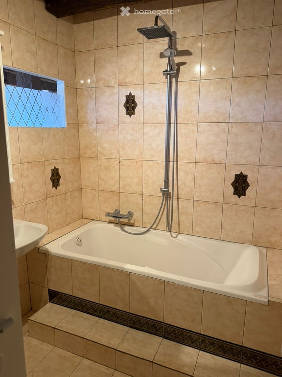 Grand appartement de 5 pièces rénové à Dardagny 5