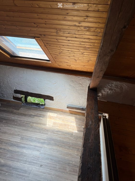 Grand appartement de 5 pièces rénové à Dardagny 4