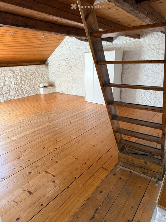 Grand appartement de 5 pièces rénové à Dardagny 2