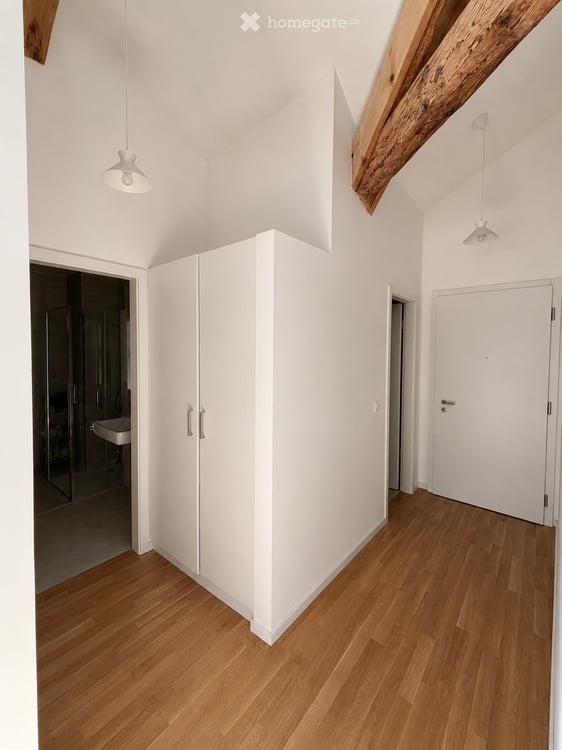 Magnifique loft entièrement rénové au centre de Lausanne 4