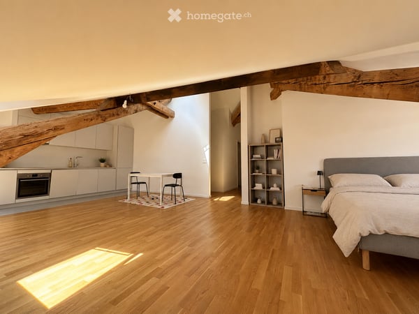 Magnifique loft entièrement rénové au centre de Lausanne 1