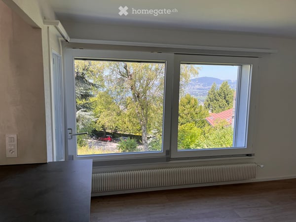 Dans la nature, appartement rénové à neuf, belle vue, 2 terrasses, jardin, hauts de Montreux 6