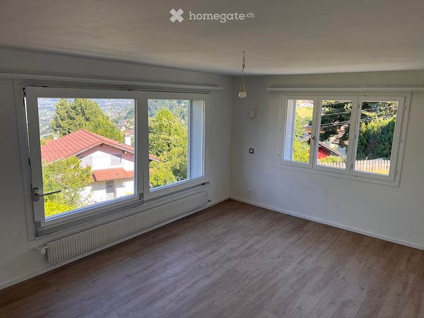 Appartement rénové à neuf, dans la nature, calme, belle vue, 2 terrasses, jardin, hauts de Montreux 10