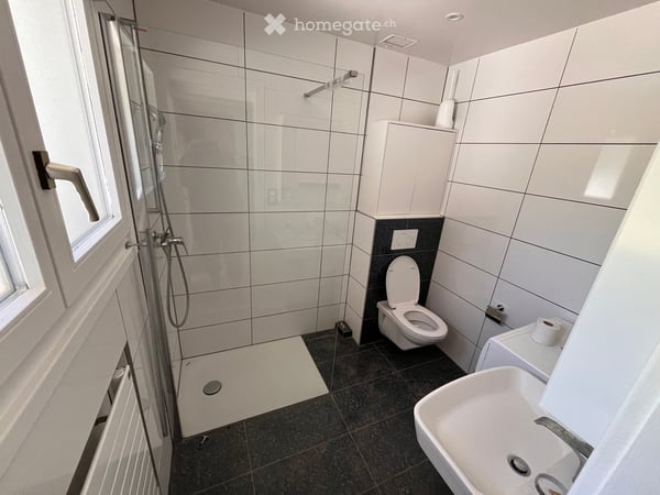 Dans la nature, appartement rénové à neuf, belle vue, 2 terrasses, jardin, hauts de Montreux 13