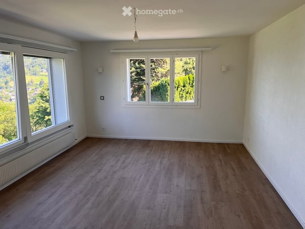 Appartement rénové à neuf, dans la nature, calme, belle vue, 2 terrasses, jardin, hauts de Montreux 9