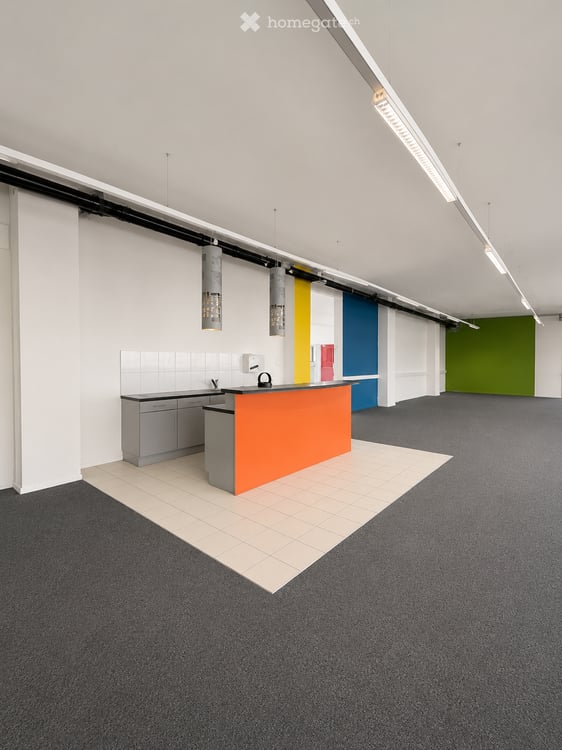 Espace industriel rénové à louer – Renens - Malley VD, rue du Marais 11-13 2