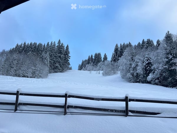 Gemütliche 2.5-Zimmer-Wohnung in idyllischer Lage in Flühli 3
