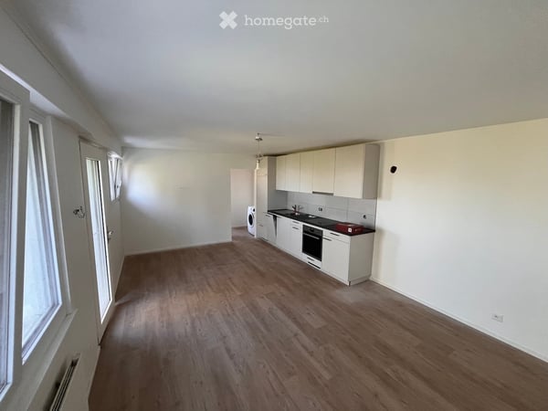 Appartement 2p rénové à neuf entouré de verdure et avec vue, terrasse et jardin - hauts de Montreux 6