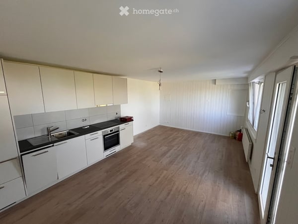 Appartement 2p rénové à neuf entouré de verdure et avec vue, terrasse et jardin - hauts de Montreux 5