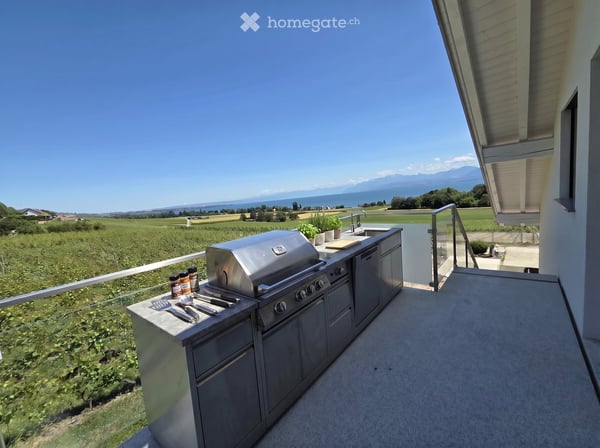 Appartement attique d'exception situé en plein vignoble avec vue dégagée sur le Léman et les Alpes 3
