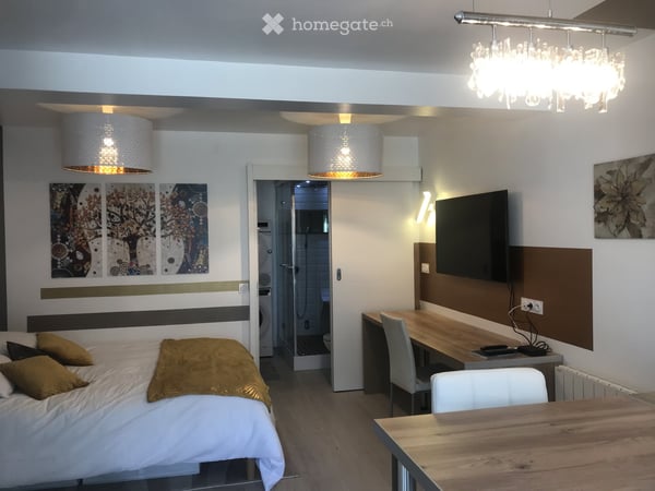 TRES BELLE MAISON MODERNE 170m2 AVEC JARDIN ET STUDIO INDEPENDANT, PROCHE GENEVE 14