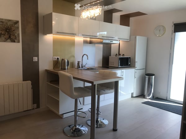 TRES BELLE MAISON MODERNE 170m2 AVEC JARDIN ET STUDIO INDEPENDANT, PROCHE GENEVE 15