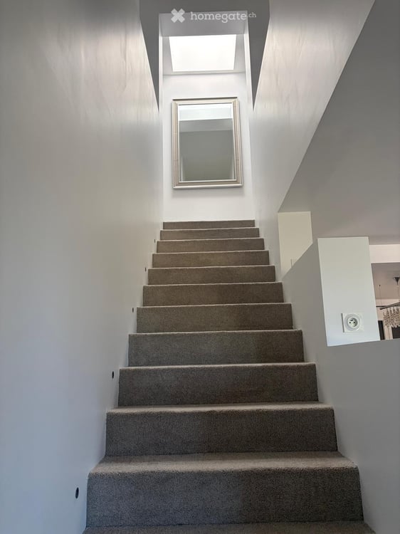 TRES BELLE MAISON MODERNE 170m2 AVEC JARDIN ET STUDIO INDEPENDANT, PROCHE GENEVE 7