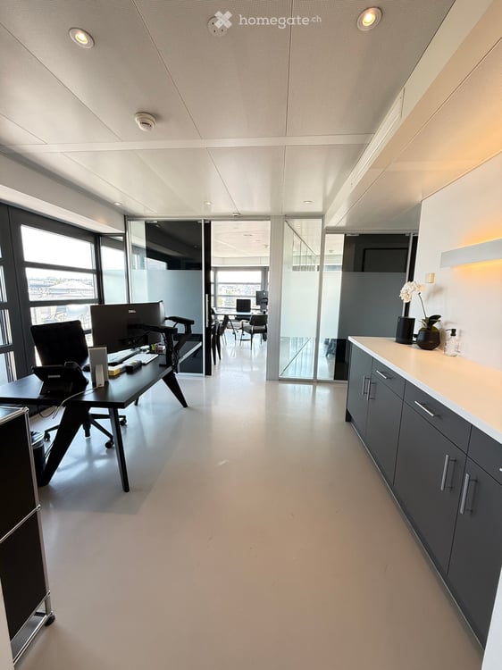 Bureau d'exception à Genève — immense terrasse, vue Jet d'Eau, clé en main, mobilier disponible 16