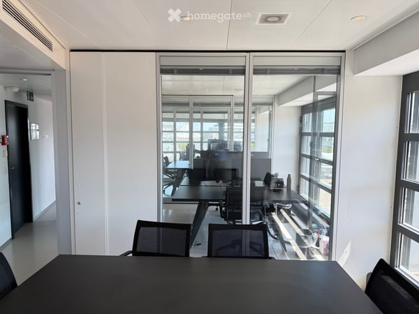 Bureau d'exception à Genève — immense terrasse, vue Jet d'Eau, clé en main, mobilier disponible 4