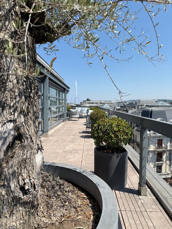 Bureau d'exception à Genève — immense terrasse, vue Jet d'Eau, clé en main, mobilier disponible 41